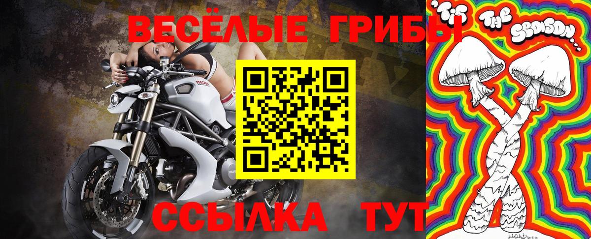 Псилоцибиновые грибы MAGIC MUSHROOMS  Вход с VPN  Бузулук 