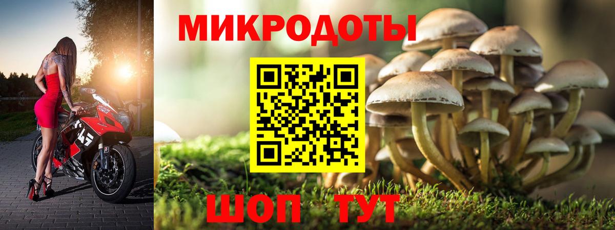 Галлюциногенные грибы прущие грибы Бузулук