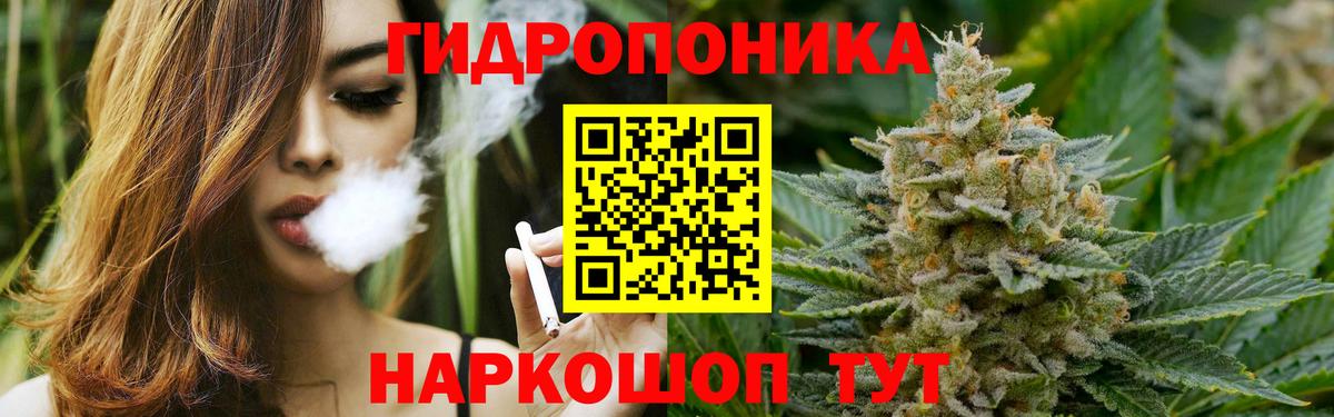 Канабис сатива Бузулук